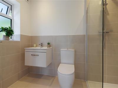 Picture 13